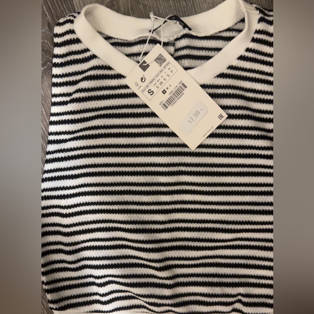 Zara Striped Two Piece Short and Top Set